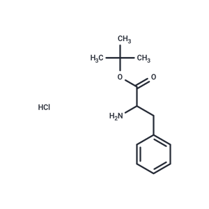 化合物 H-DL-Phe-OtBu.HCl|T65229|TargetMol