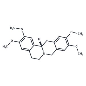 化合物 Norcoralydine,Norcoralydine