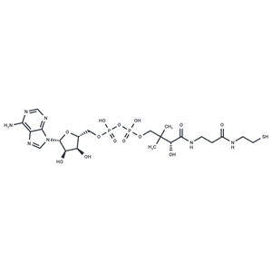 3'-Dephosphocoenzyme A|T35659|TargetMol