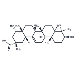 雷公藤三萜酸 A,Triptotriterpenic acid A