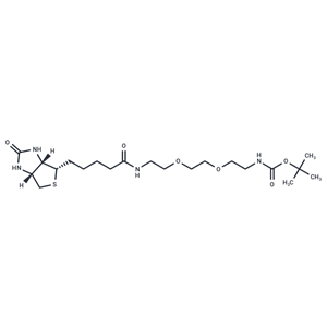 化合物 Biotin-PEG2-NH-Boc|T14587|TargetMol