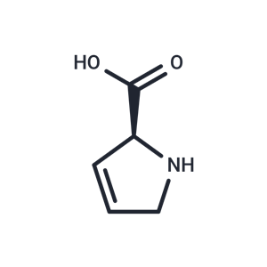 化合物 3,4-Dehydro-L-proline|T66029|TargetMol