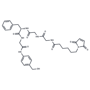 Mc-Gly-Gly-Phe-Gly-PAB-OH|T40257|TargetMol