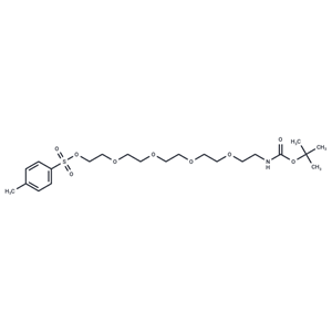 化合物 2,2-Dimethyl-4-oxo-3,8,11,14,17-pentaoxa-5-azanonadecan-19-yl 4-methylbenzenesulfonate,2,2-Dimethyl-4-oxo-3,8,11,14,17-pentaoxa-5-azanonadecan-19-yl 4-methylbenzenesulfonate