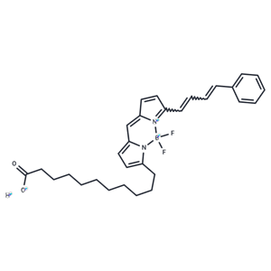 化合物 BODIPY 581/591 C11|T39652|TargetMol