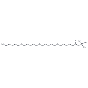 Amino-PEG7-t-butyl ester|T40089|TargetMol