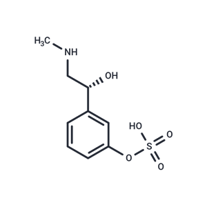 Phenylephrine-3-O-Sulfate|T35576|TargetMol