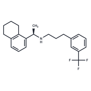 化合物 (R)-N-[1-(5,6,7,8-Tetrahydronaphthalen-1-yl)ethyl]-3-[3-(trifluoromethyl)phenyl]-1-propylamine|T66787|TargetMol