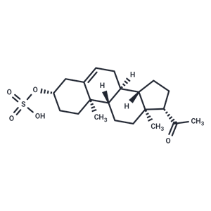 孕烯醇酮硫酸鹽,Pregnenolone monosulfate