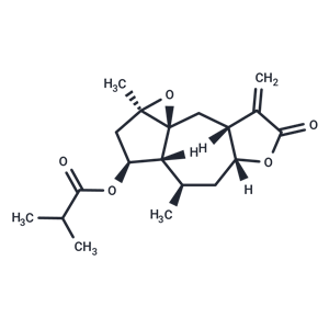 化合物Minimolide F,Minimolide F