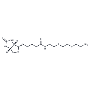 化合物 Biotin-DADOO|T14577|TargetMol