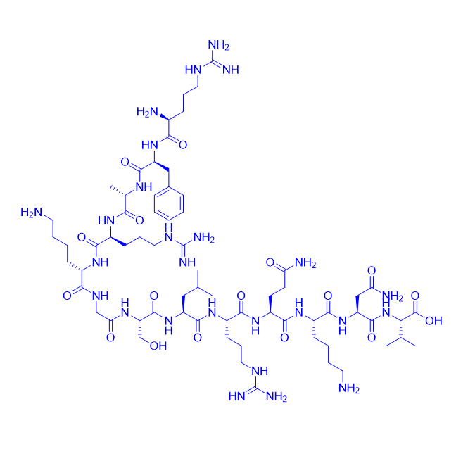 Ser25]-蛋白激酶 C (PKC)底物多肽,Ser25]-PKC (19-31)