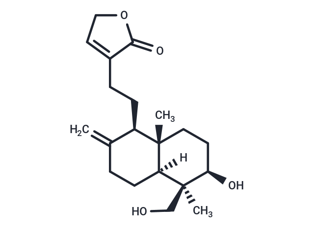 14-去氧穿心蓮內(nèi)酯,14-Deoxyandrographolide