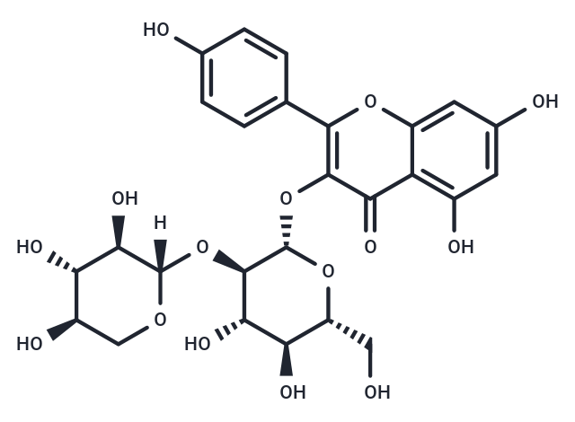 堪非醇3-O-桑布雙糖苷,Leucoside