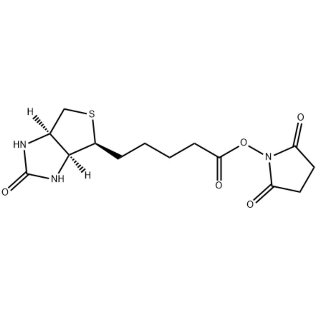 (+)生物素-N-琥珀酰亞胺基酯,(+)-Biotin N-hydroxysuccinimide ester