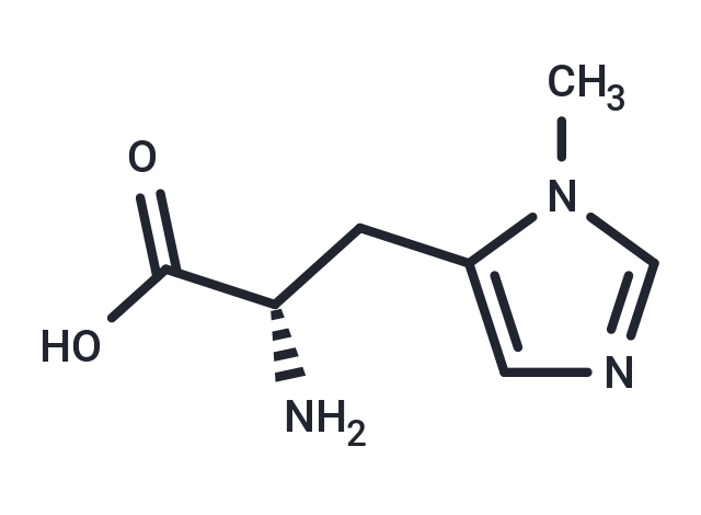 3-甲基-L-組氨酸,3-Methyl-L-histidine