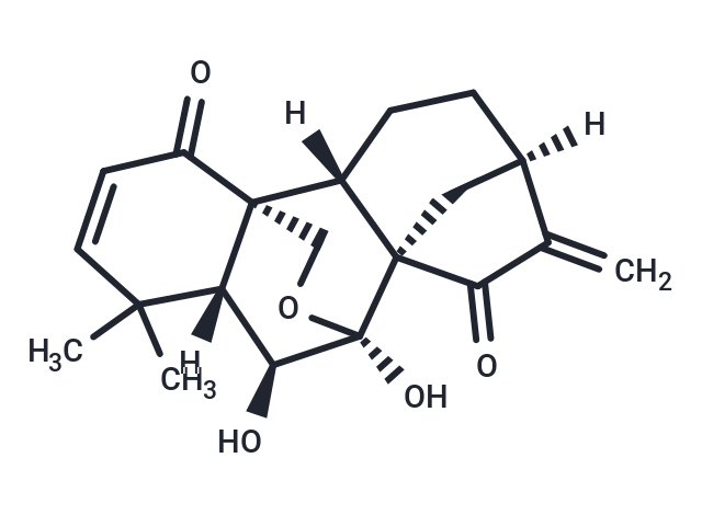 毛萼乙素,Eriocalyxin B