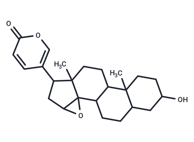 酯蟾毒配基,Resibufogenin