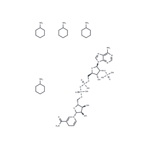 還原型輔酶II四鈉,NADPH tetracyclohexanamine