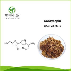 蛹蟲草提取物,Cordyceps Polysacchrides