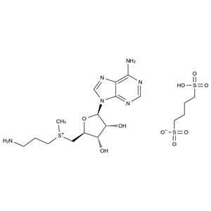 脫羧腺苷蛋氨酸,Decarboxylated S-Adenosyl-L-Methionine