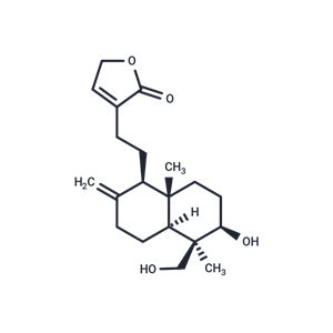 14-去氧穿心蓮內(nèi)酯,14-Deoxyandrographolide