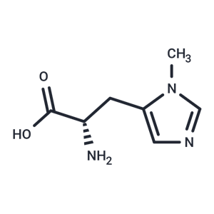 3-甲基-L-組氨酸,3-Methyl-L-histidine