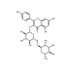 山奈酚-3-O-蕓香糖苷|T6S1294