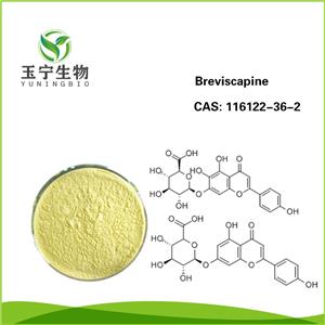 燈盞花素,Breviscapine