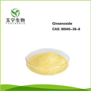 人參皂甙,GINSENOSIDE