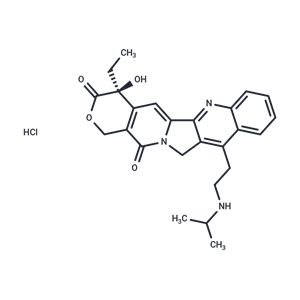 化合物 Belotecan hydrochloride|T7551|TargetMol