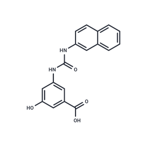 化合物 FzM1.8|T15363|TargetMol