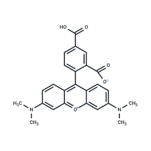 5-羧基四甲基羅丹明,5-TAMRA