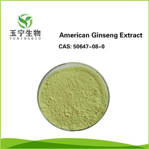 西洋參提取物,American ginseng Extract