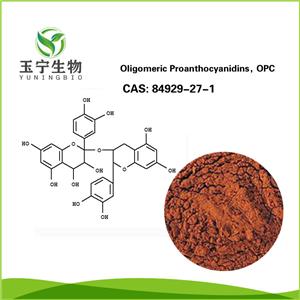 原花青素,Oligomeric Proanthocyanidins,OPC