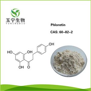 根皮素,Phloretin