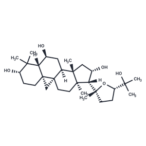 環(huán)黃芪醇|T5575|TargetMol