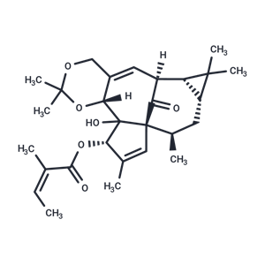 巨大戟醇-5,20-縮丙酮-3-當(dāng)歸酸酯|TQ0316|TargetMol