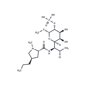 克林霉素磷酸酯|T1142|TargetMol