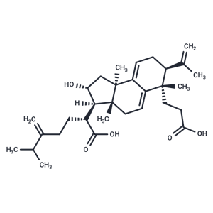 茯苓新酸 A|T8181|TargetMol