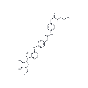 化合物 Adenosine amine congener|T7683|TargetMol