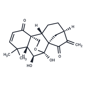 毛萼乙素,Eriocalyxin B