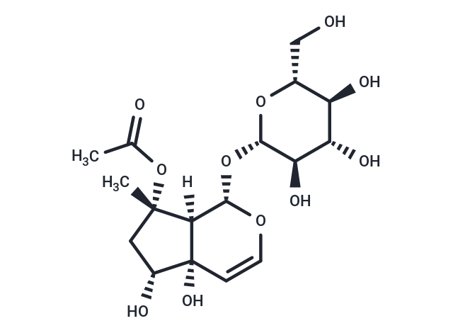 8-O-乙酰哈巴苷,8-?O-?Acetylharpagide