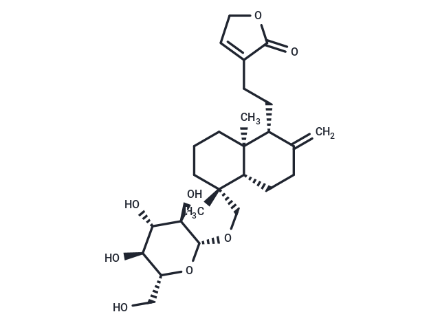 新穿心蓮內酯,Neoandrographolide