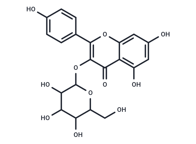 紫云英苷,Astragalin