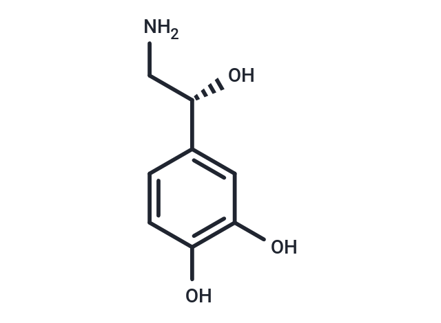 去甲腎上腺素,Norepinephrine