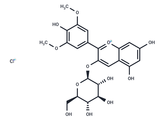 氯化錦葵色素-3-Β-葡糖苷,Malvidin-3-glucoside chloride