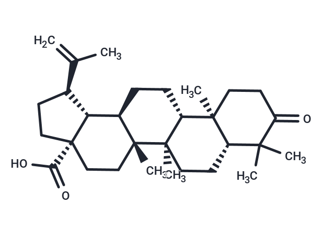 路路通酸,Betulonic acid