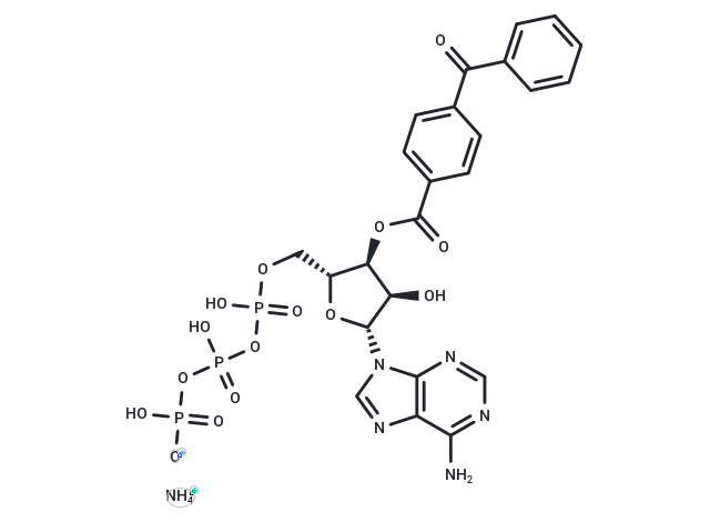 化合物BzATP triethylammonium salt,BzATP triethylammonium salt