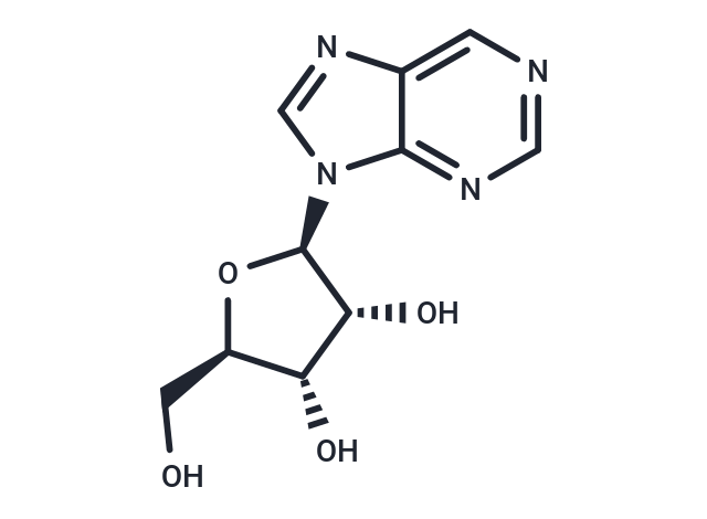 水粉蕈素,Nebularine